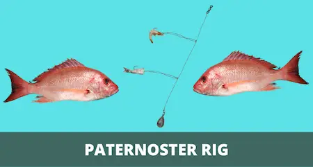 Paternoster Rig 101 (Setup & Fishing Guide with Pictures)