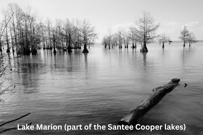 Photo of Lake Marion, one of the Santee-Cooper Lakes