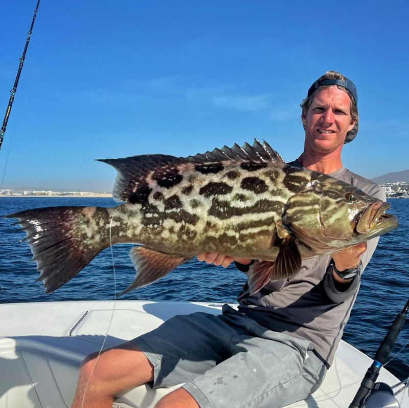 Photo of an angler holding a large grouper caught with a knocker rig