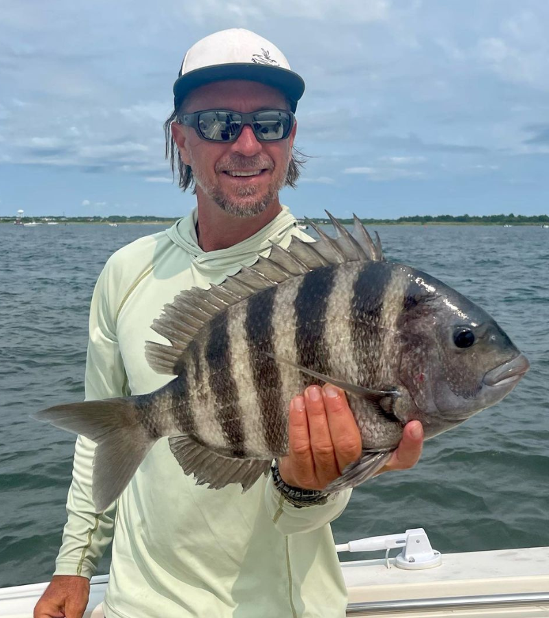 Photo of an angler holding a sheepshead fish caught with a high low rig