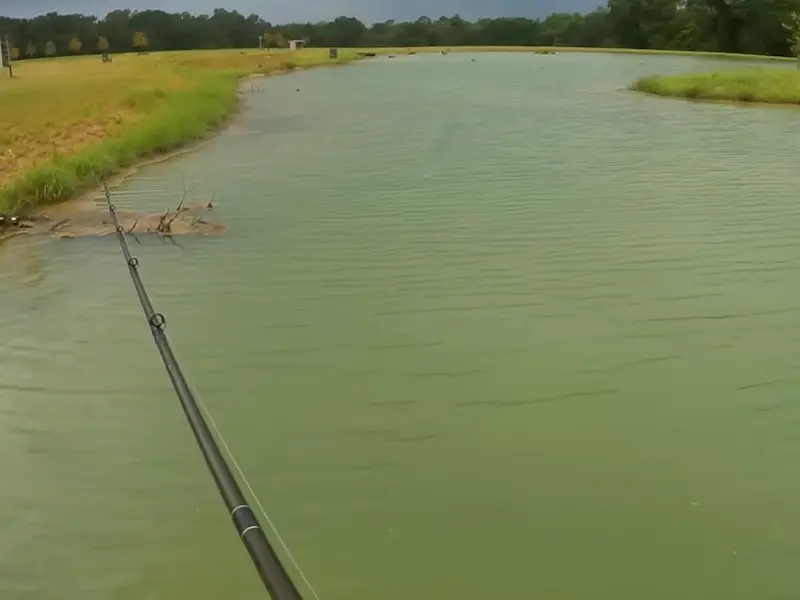 Photo showing a fishing rod at the bank of a bass pond