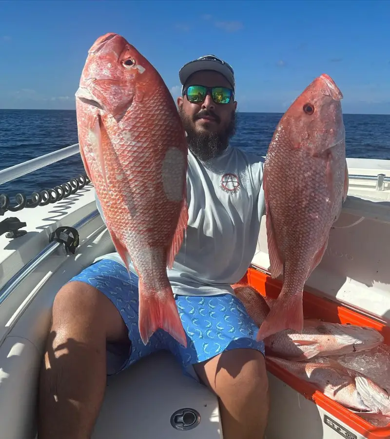 Photo showing angler holding two red snappers caught with a double drop rig