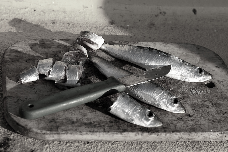 Photo showing sardines being prepared as cut bait