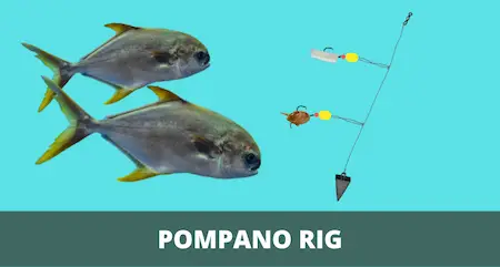 Pompano Rig for Surf Fishing (Setup & How-to Guide)