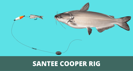 Santee Cooper Rig (Setup and Fishing Guide with Pictures)