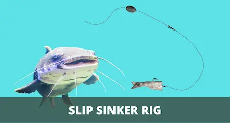 Slip Sinker Rig 101 (Setup and Fishing Guide with Pictures)