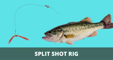 Split Shot Rig 101 (Setup and Fishing Guide with Pictures)