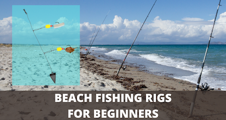 Best beach fishing rigs for beginners
