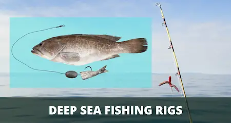 Top 9 DEEP SEA FISHING RIGS (Offshore Rigging Guide)