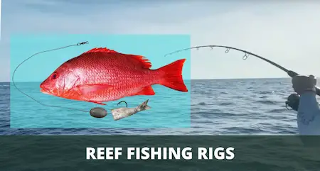 Top 7 REEF FISHING RIGS (Setup & Fishing Guide w Pictures)
