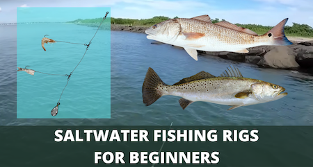 7 Best Saltwater Fishing Rigs For Beginners (Setup Guide)