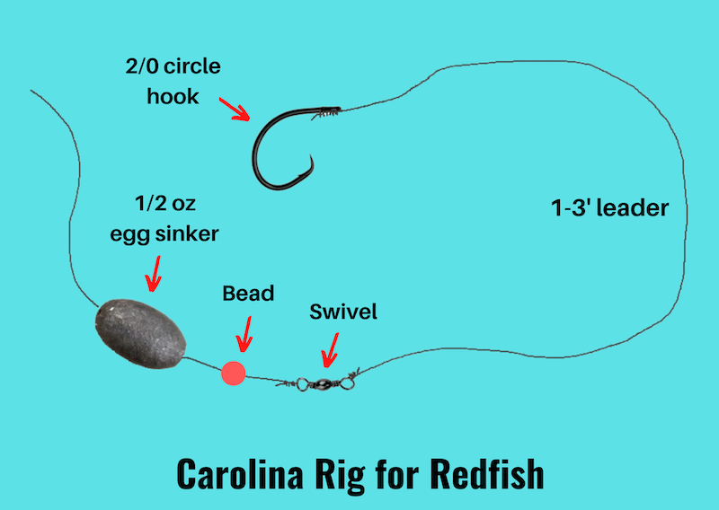 Diagram of Carolina rig for redfish