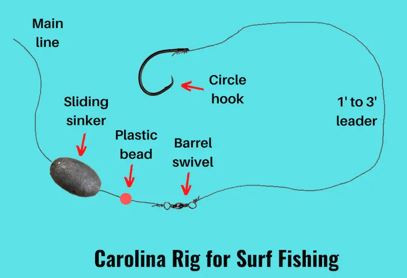 Diagram of Carolina surf fishing rig