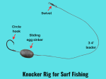 9 Best SURF FISHING RIGS (Setup & Fishing Guide w Pictures)