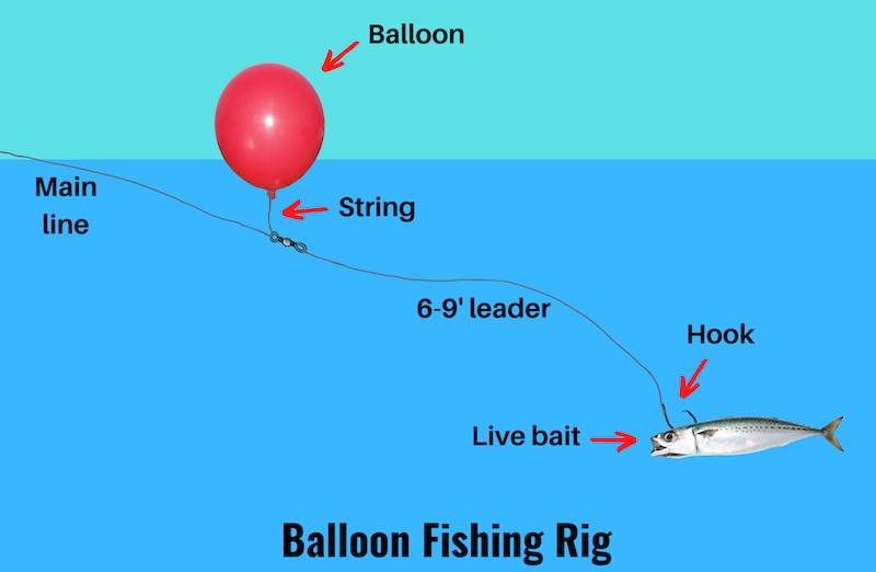 Diagram of balloon fishing rig