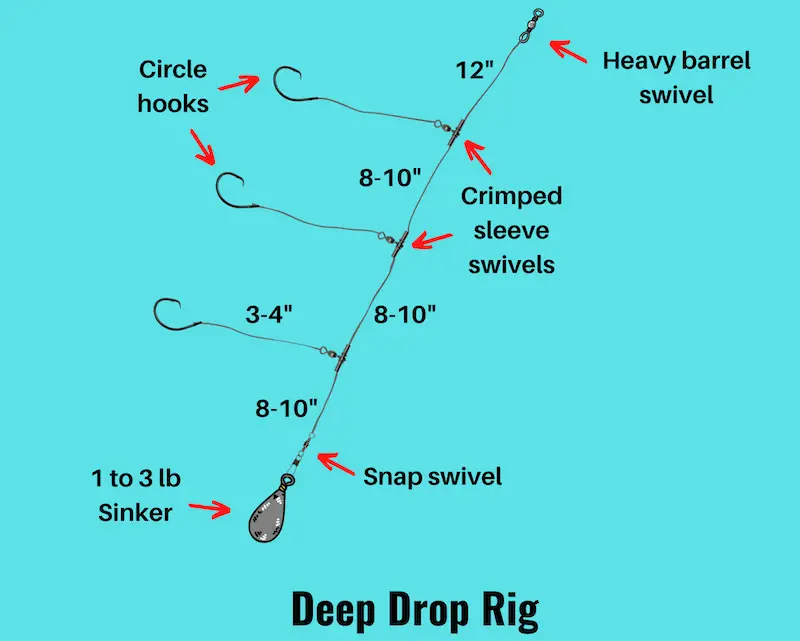Diagram of deep drop rig
