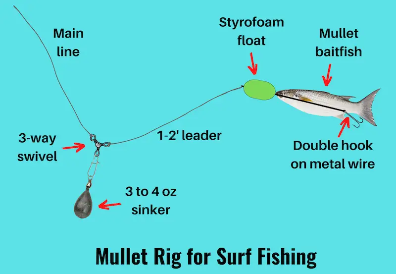 Diagram of mullet rig for surf fishing