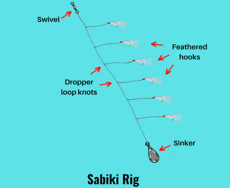 7 Best PIER FISHING RIGS (Setup & Fishing Guide w Pictures)