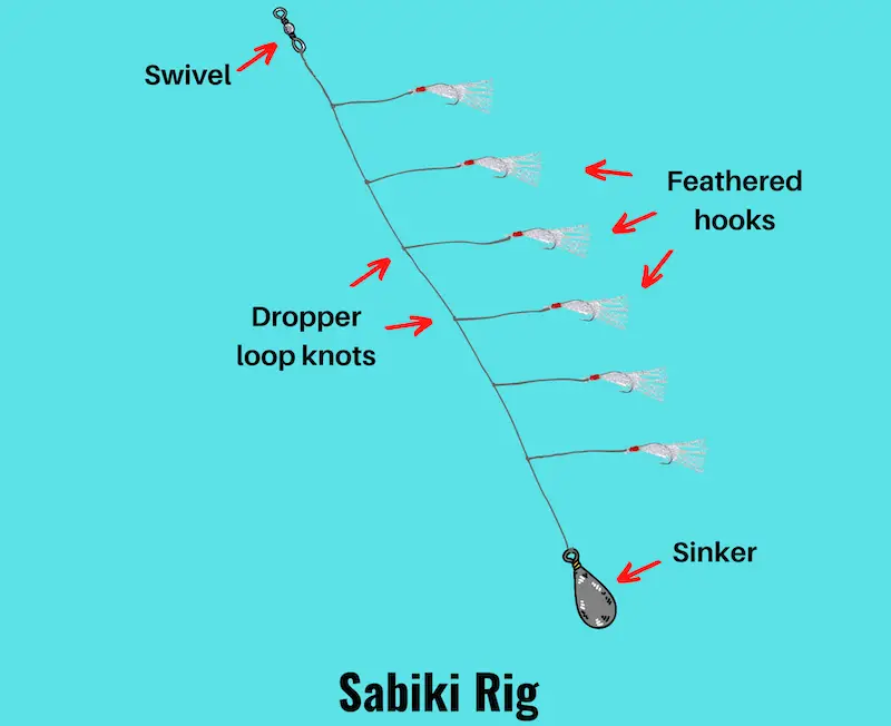 Diagram of Sabiki rig