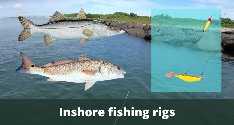 Inshore fishing rigs