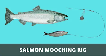 Salmon Mooching Rig 101 (Setup & Fishing Guide w Pictures)