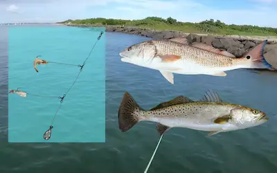 Saltwater fishing for rigs beginners