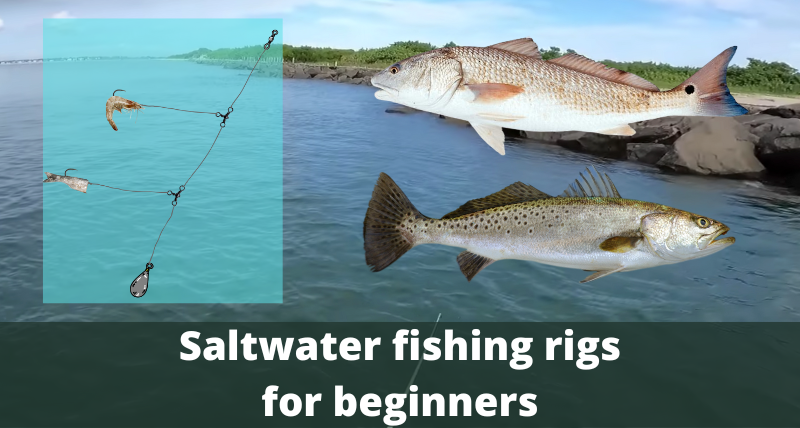Saltwater fishing rigs for beginners