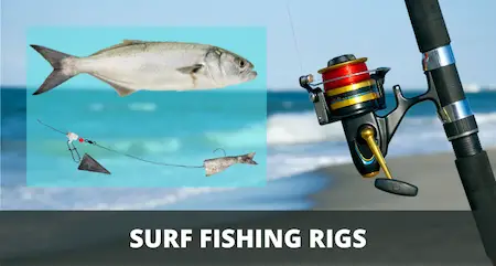9 Best SURF FISHING RIGS (Setup & Fishing Guide w Pictures)