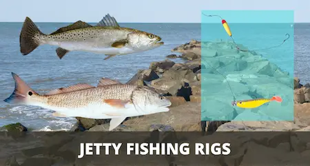 Top 7 JETTY FISHING RIGS (Setup & Fishing Guide w Pictures)