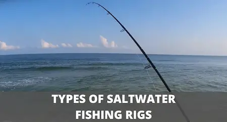 7 Types Of SALTWATER FISHING RIGS (That Catch Fish Anywhere)